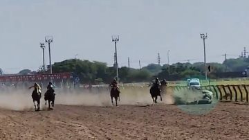 Video: jockey fue aplastado por su caballo en plena carrera del hipódromo