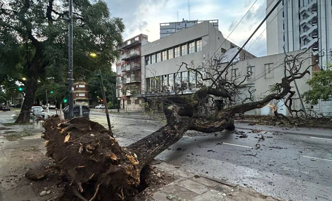 Temporal en el AMBA: miles de familias sin luz, autos aplastados y árboles caídos