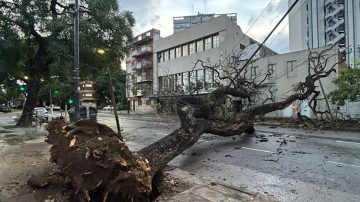 Temporal en el AMBA: miles de familias sin luz, autos aplastados y árboles caídos