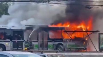 Impactantes videos de Brasil: avioneta perdió el control y cayó sobre un colectivo en plena avenida