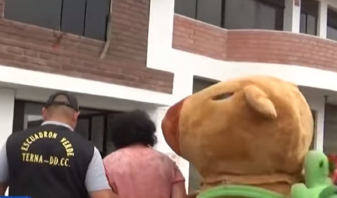 VIDEO | Insólito operativo policial: se disfrazó de capibara para detener a un narco