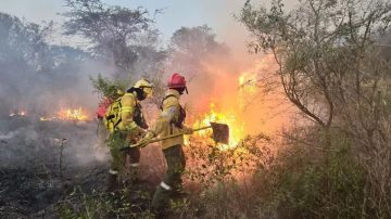 Corrientes ya no registra focos activos de incendios, según autoridades
