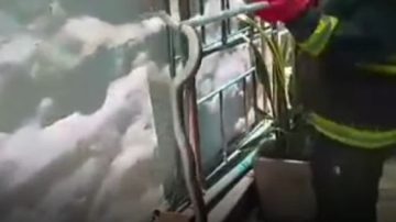 Susto: encontraron una lampalagua en un hotel y tuvieron que llamar a los bomberos