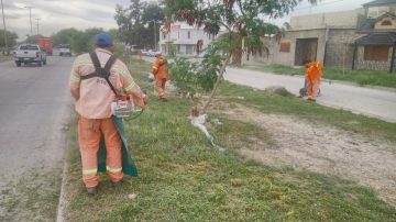 La municipalidad trabajó en el desmalezamiento de platabandas y laterales de avenida Lugones