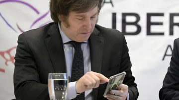 Polémico video contra Milei en el Lollapalooza