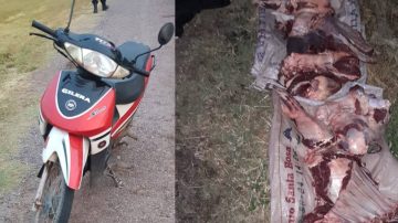 Atrapan a “motocuatreros”: llevaban un ternero faenado y más de un millón de pesos