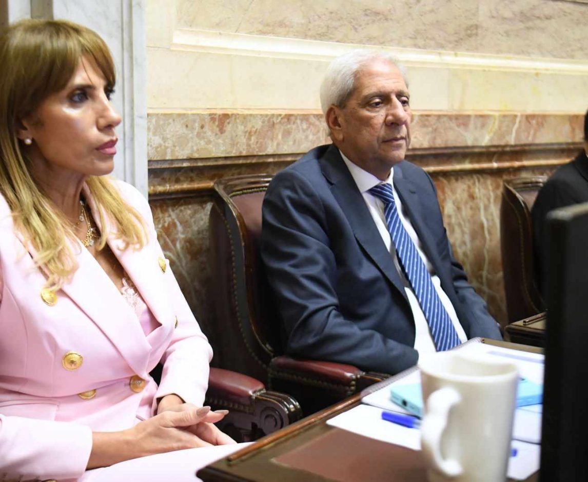 Neder anticipó que plantearán “cuestiones de privilegio” por $LIBRA