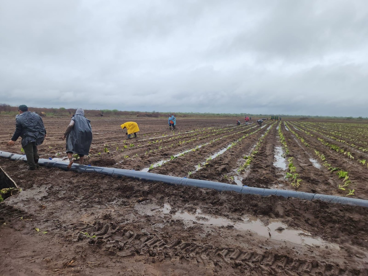 El trabajo mancomunado entre productores y Estado da buenos resultados