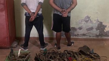 Detienen a dos hombres en Beltrán por robo de animales para faena clandestina