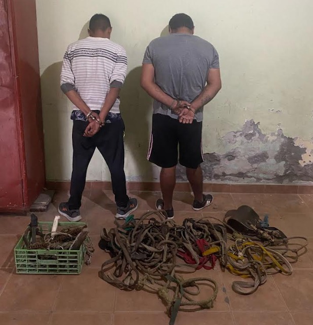 Detienen a dos hombres en Beltrán por robo de animales para faena clandestina