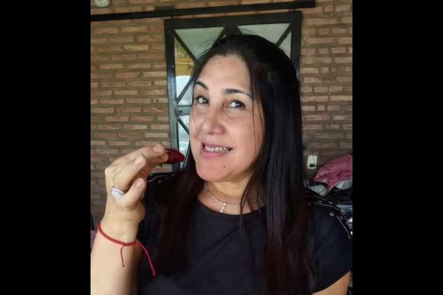 Profundo pesar en la comunidad educativa por el fallecimiento de la profesora Silvia Ibáñez Frágola