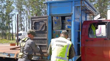 FOTOS: Un perro de Gendarmería olfateó más de una tonelada de droga en un camión