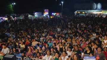 Reprograman la última noche del Festival Nacional del Artesano