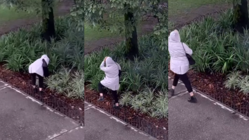 “Señora de campera, no arranque las plantas”: furor por los altoparlantes instalados en las plazas de Tucumán