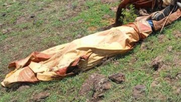 Un jinete murió en el acto al ser alcanzado por un rayo cuando trabajaba en el campo