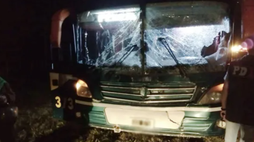 Un colectivo que trasladaba a 20 personas chocó a dos caballos en la ruta y de milagro no hubo heridos