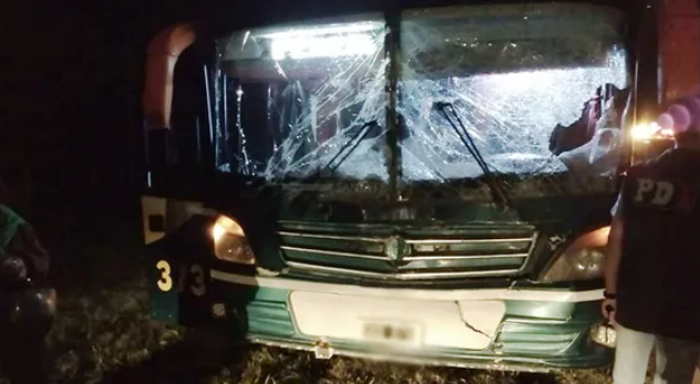 Un colectivo que trasladaba a 20 personas chocó a dos caballos en la ruta y de milagro no hubo heridos
