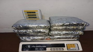 Detuvieron a un pasajero con 8 kilos de marihuana en un colectivo de larga distancia
