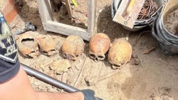 Mientras refaccionaba su casa encontró una docena de cráneos humanos