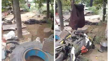 Momento angustiante: La reacción de una familia al ver el cuerpo del motociclista brasilero fallecido en un accidente