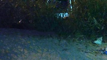 Remisero se durmió al volante y terminó adentro de una acequia