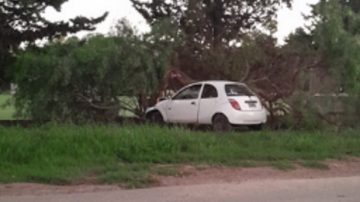 Se quedó dormido al volante y chocó contra un árbol en Guasayán