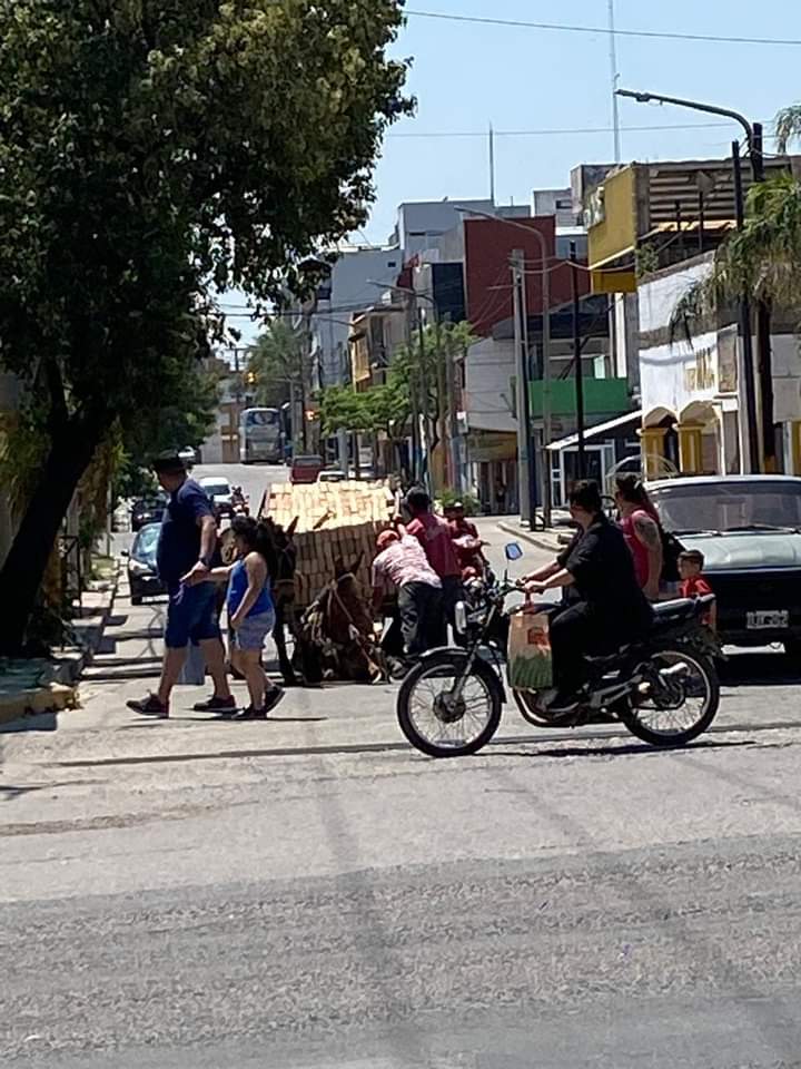 El caballo que se desplomó y sufrió latigazos de su dueño tendrá una nueva vida en una reserva