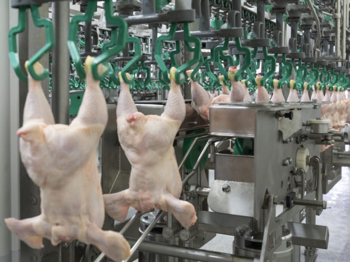 China da marcha atrás y vuelve a comprar carne aviar argentina