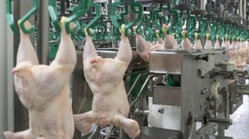 China da marcha atrás y vuelve a comprar carne aviar argentina