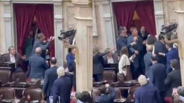 VIDEO. Escándalo en Diputados: Menem levantó la sesión y hubo piñas entre Oscar Zago y Lisandro Almirón