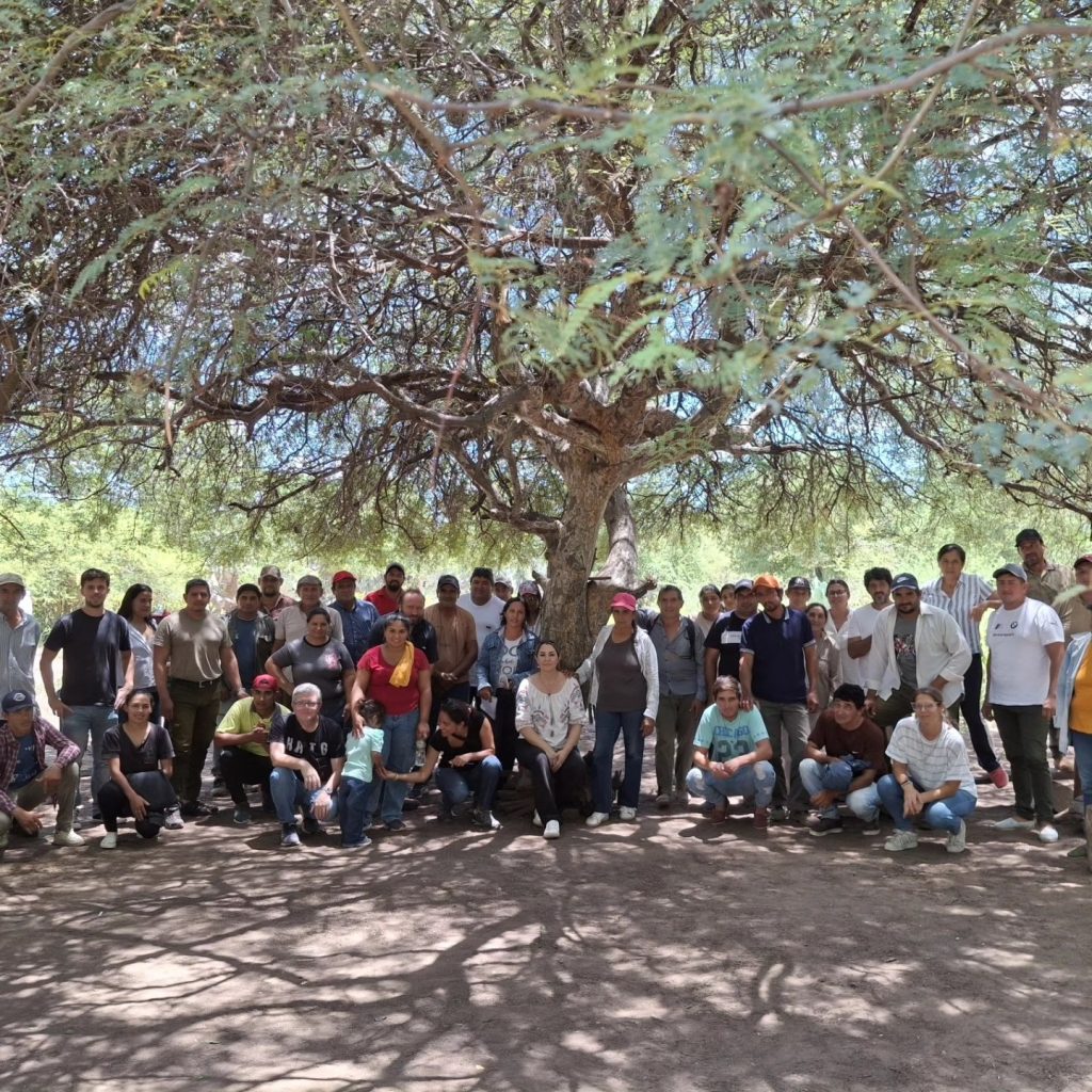 Forestales realizan diagnóstico del bosque en el norte provincial