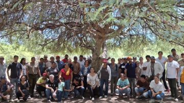 Forestales realizan diagnóstico del bosque en el norte provincial