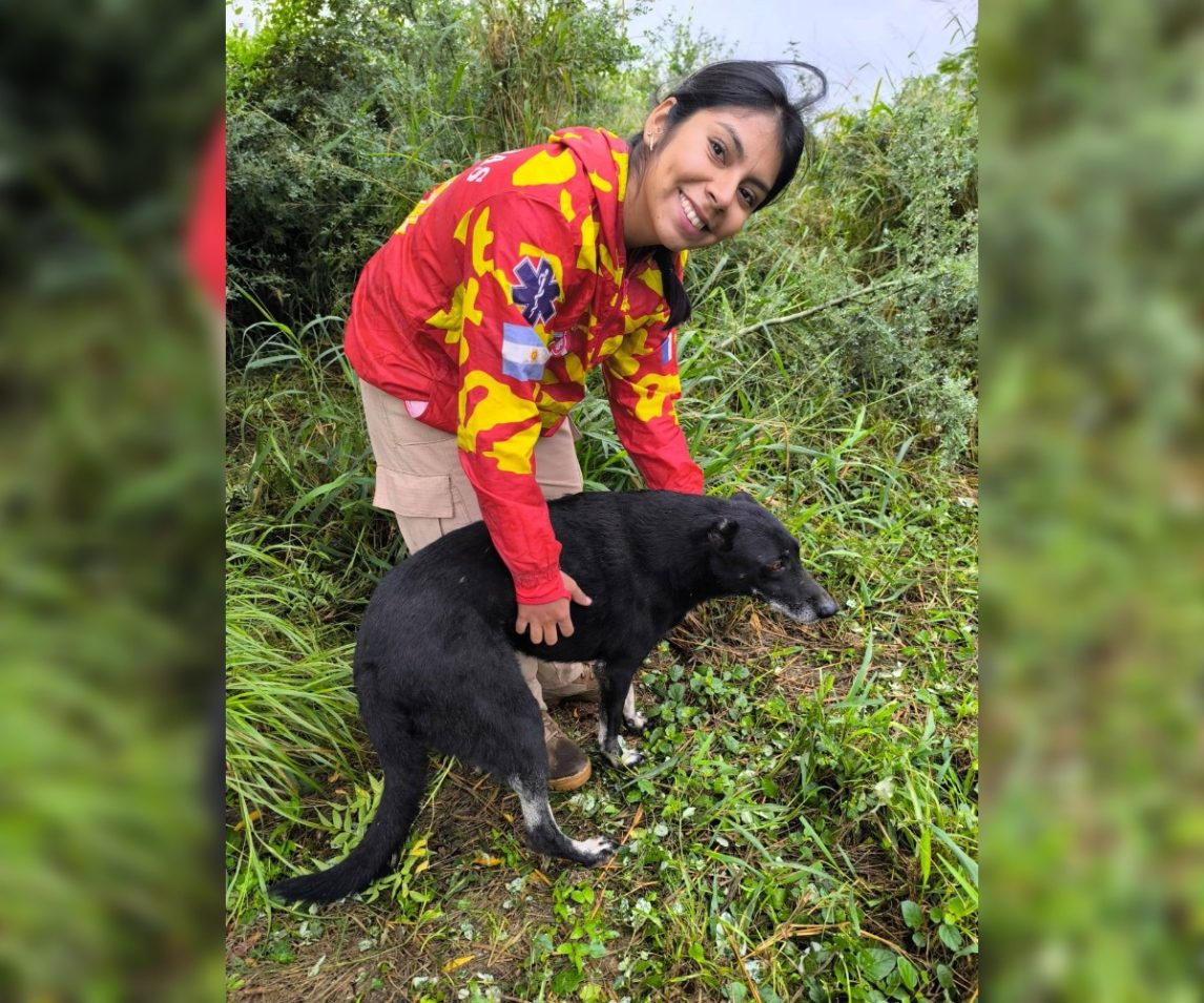 FOTOS: Un perrito fue rescatado por guardavidas tras caer en un pozo profundo
