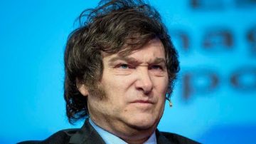 La encuestadora de confianza de Mile, reveló una caída de su imagen