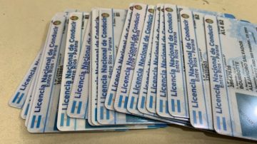 Milei confirmó cambios en las licencias de conducir mediante el Boletín Oficial