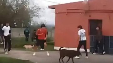 Un alumno apuñaló a un compañero durante una pelea