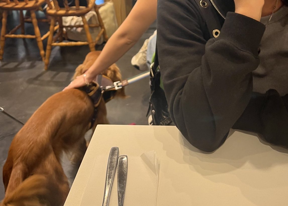 Llevó a su perro a un bar y la escracharon: ”Tienen olor y no va a dejar de ladrar”