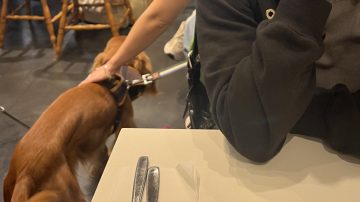 Llevó a su perro a un bar y la escracharon: ”Tienen olor y no va a dejar de ladrar”