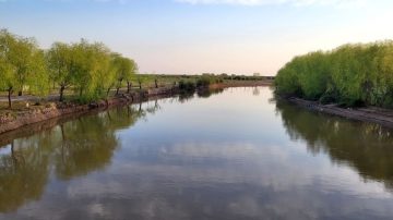 Hallaron con vida al pescador que se arrojó al Río Utis tras ser atacado por abejas
