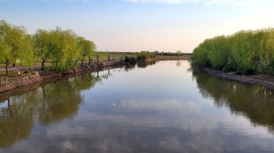Cordobeses fueron atacados por abejas cuando pescaban en el Río Utis y uno desapareció en el agua