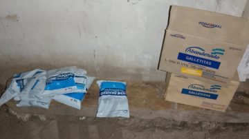 Utilizando a un menor como ayudante, un hombre robó leche y mercadería desde una escuela