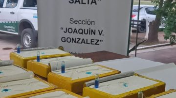 FOTOS. Llevaba la droga escondida bajo la alfombra del auto: cayó con 194 kilos de cocaína