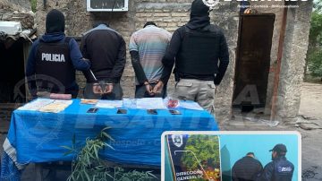 Forres: Hallaron cocaína, marihuana y planta de cannabis y detuvieron a tres personas