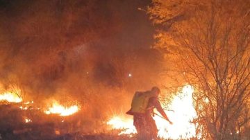 El 1° Encuentro de la cátedra Laudato Si abordará el cambio climático, desastres y compromiso estatal