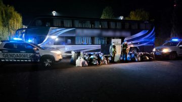 Millonario decomiso y escándalo por documentación falsa en controles de Gendarmería