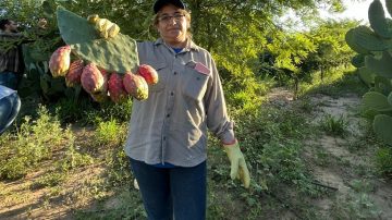 Mujeres de La Cañada participarán de un festival gastronómico, gracias a sus productos con tuna