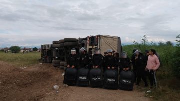 Se tomaron todo el vino: volcó un camión con bebidas y lo saquearon