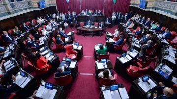 Avanza en el Senado bonaerense un proyecto para modificar los límites a las reelecciones