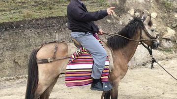 La historia del papa León XIV en mula contada por una religiosa de la ruralidad santiagueña