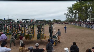 “Voy Solito” fue el gran ganador de la carrera de burros en Sumampa